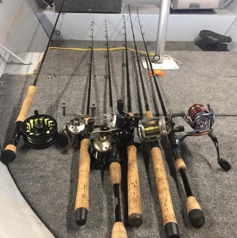 fishing rods